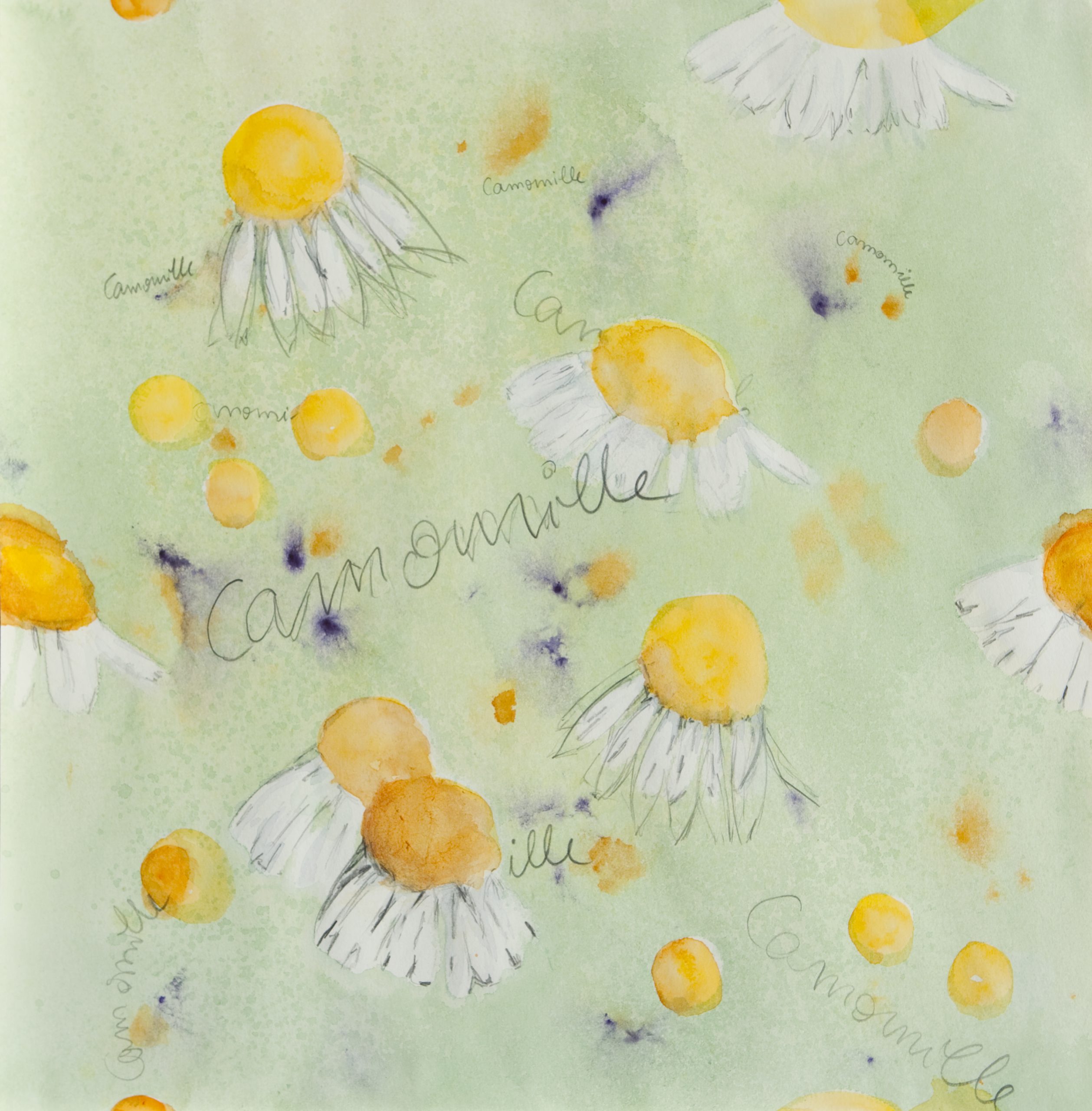 Blütenmeer - Aquarell, Grafit auf Papier - 40x40 - 2015